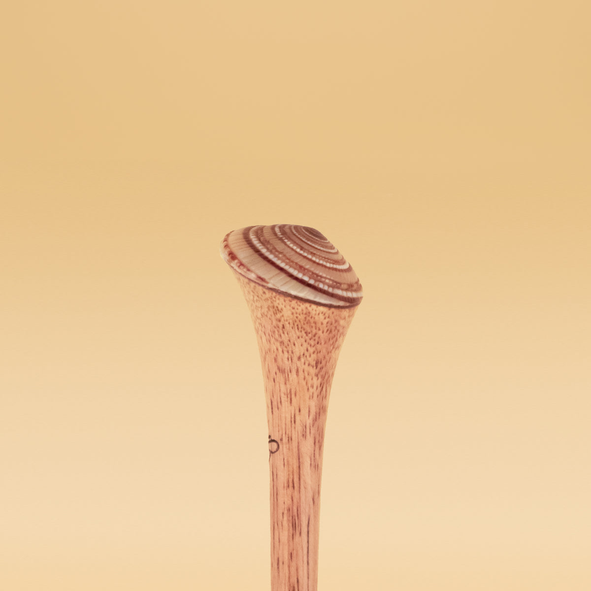 Brown Shell image 2