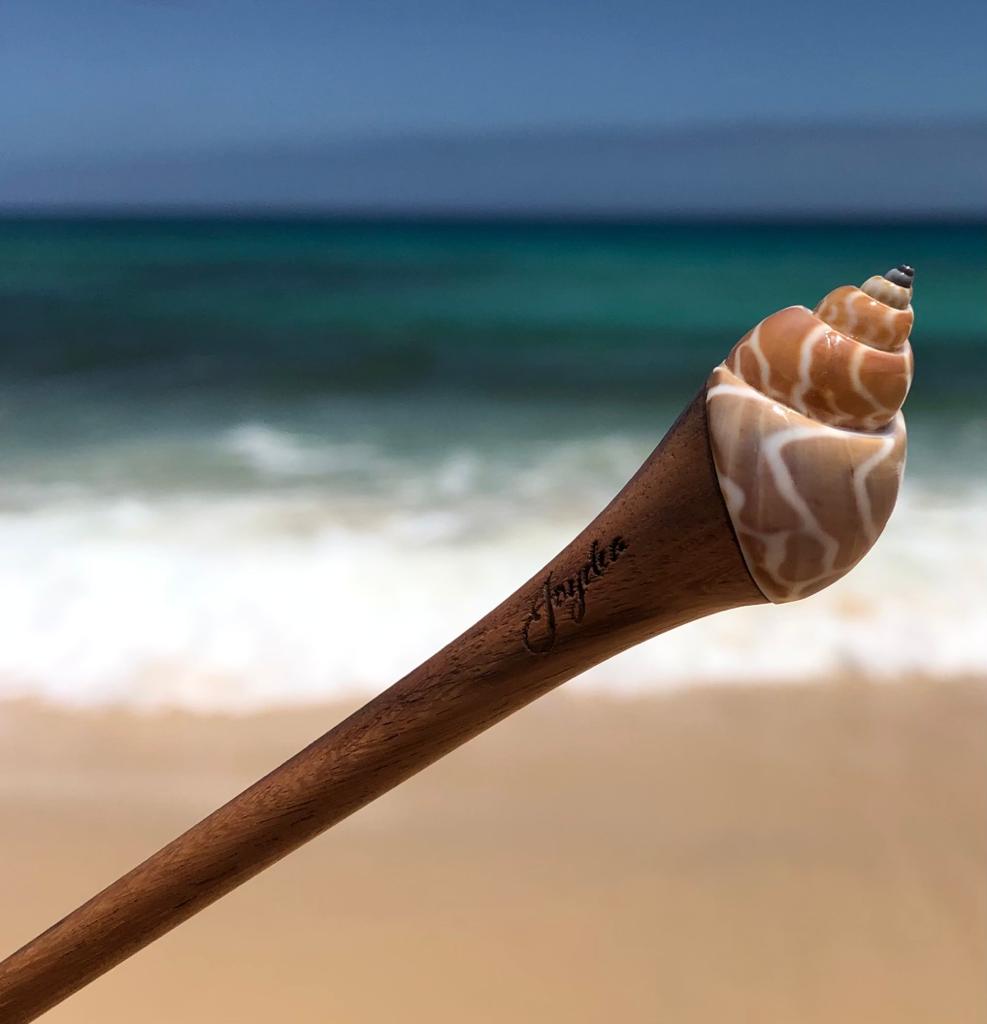 Gran Canaria image 4
