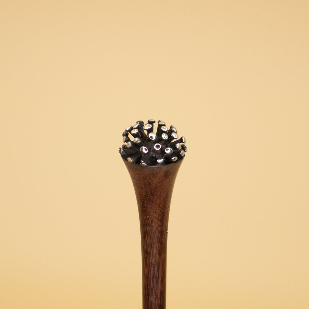 Polvere di Stelle image 1