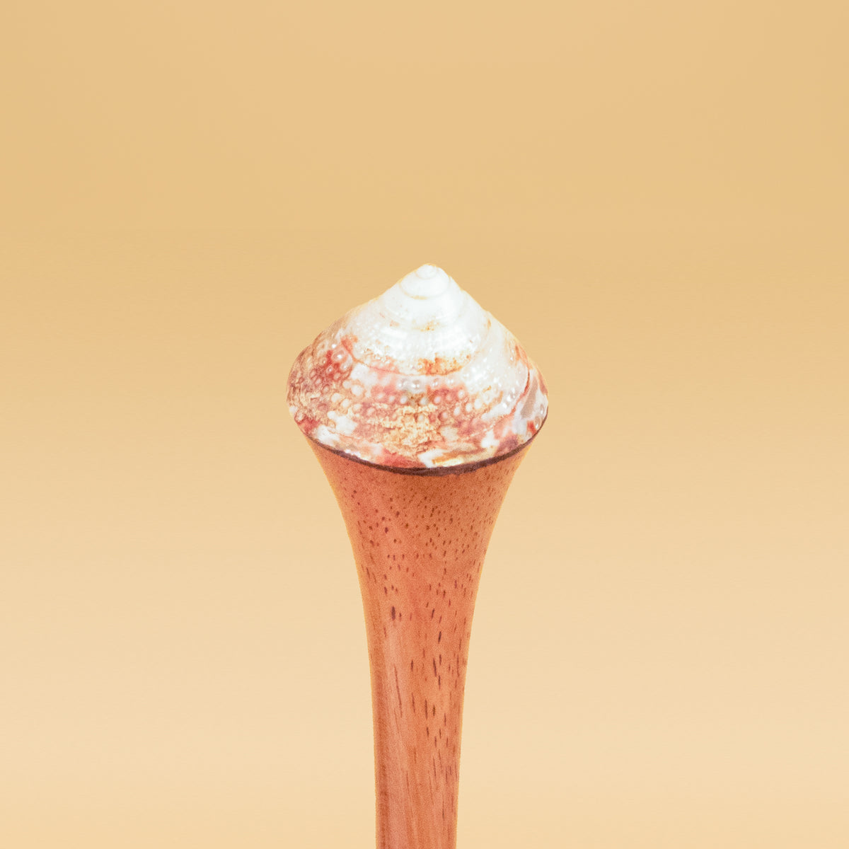 White Shell image 1